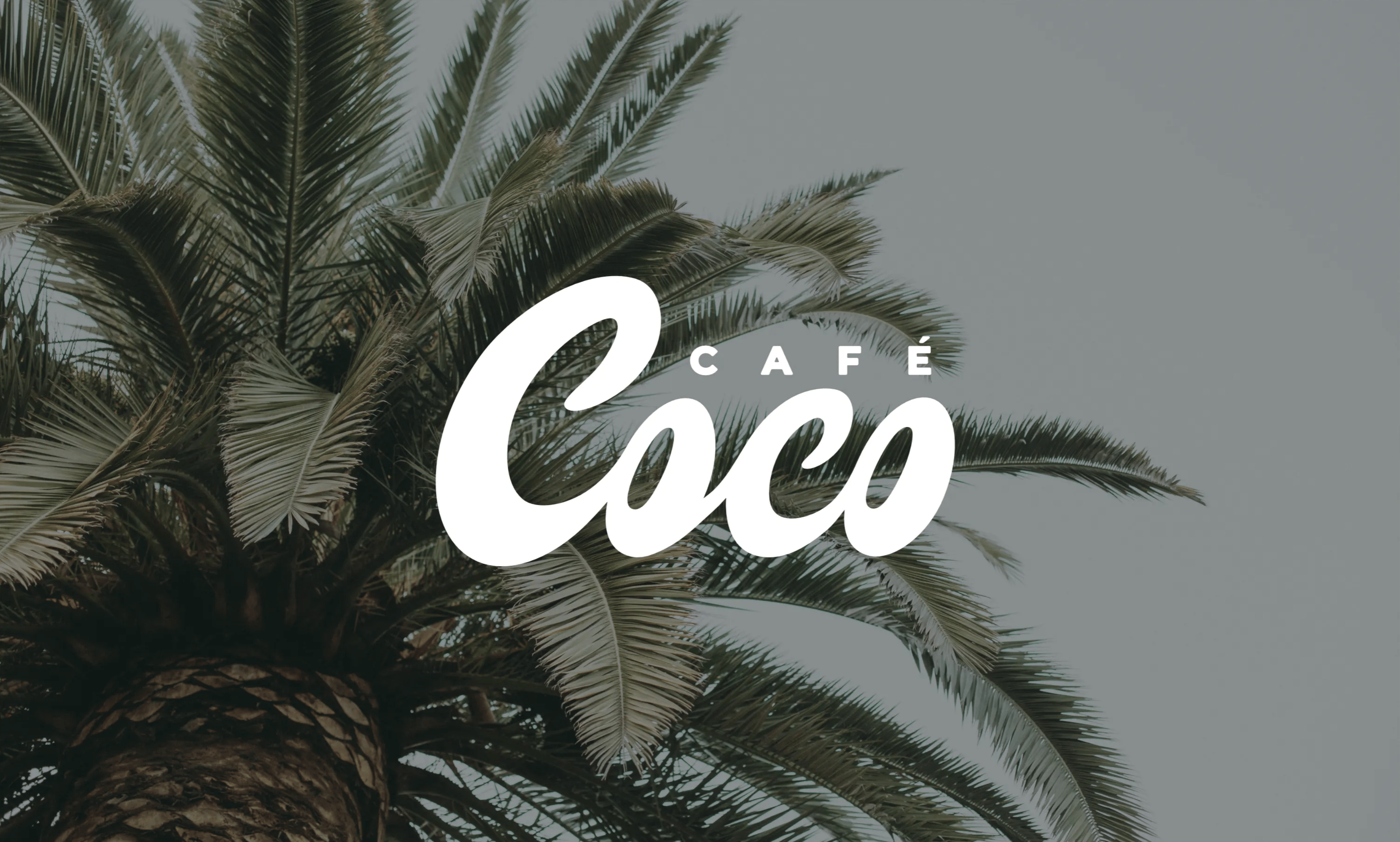 Anders brand wordmark in white placed on top of an image of a modern interior design.